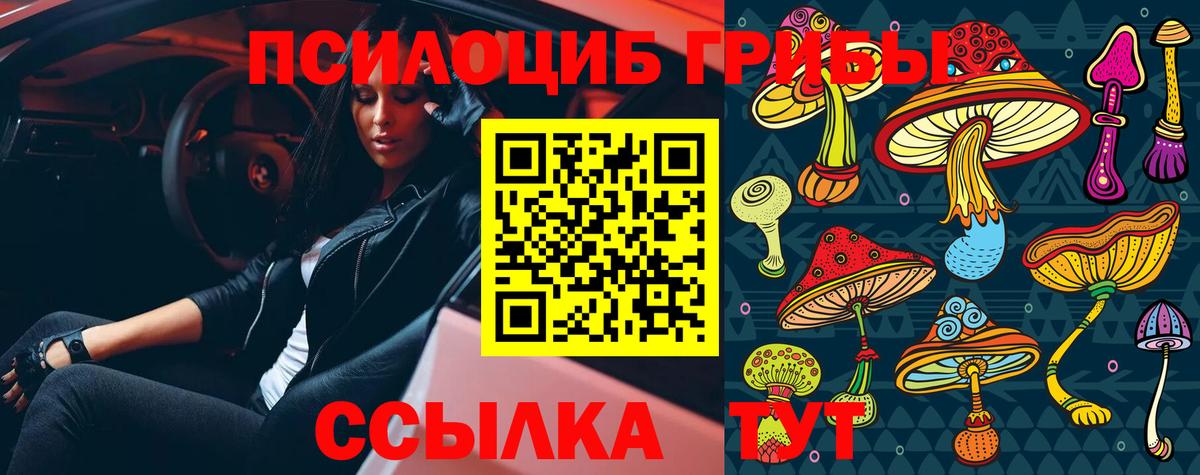 Галлюциногенные грибы ЛСД  Вход с VPN  Галлюциногенные грибы Psilocybe  Ливны 